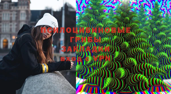 твердый Кинешма