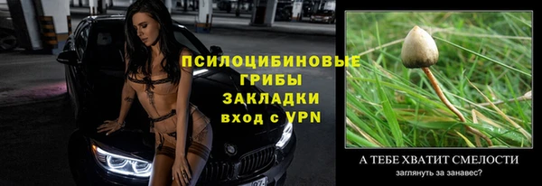 крисы Киренск