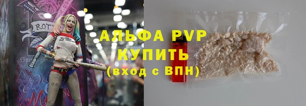 крисы Киренск