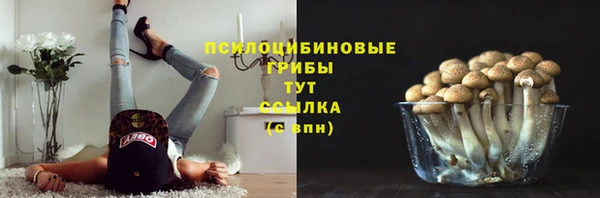 крисы Киренск
