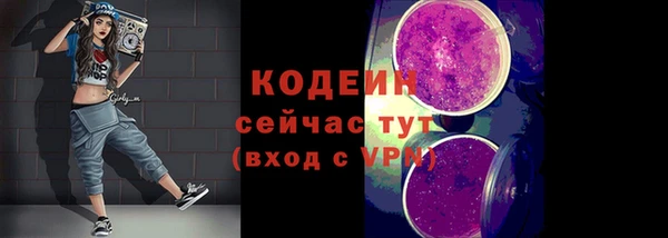 крисы Киренск
