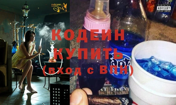 крисы Киренск
