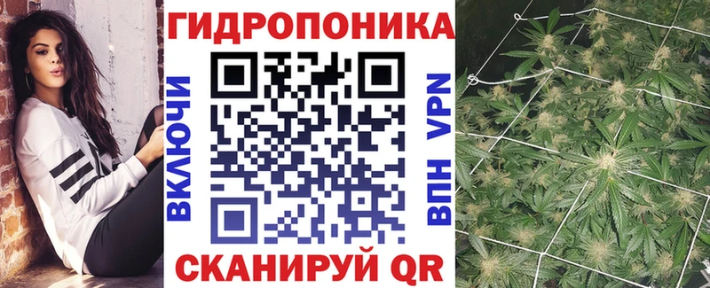 hydra маркетплейс  Шелехов  Марихуана план  сколько стоит 